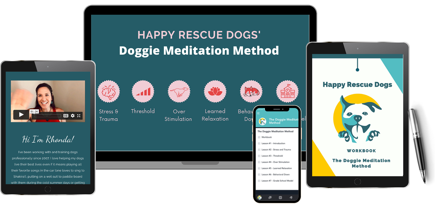 Happy Rescue Dogs - Doggie Meditation overview