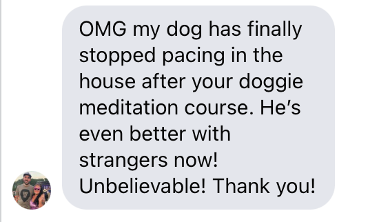 Happy Rescue Dogs - Doggie Meditation - Testimonial